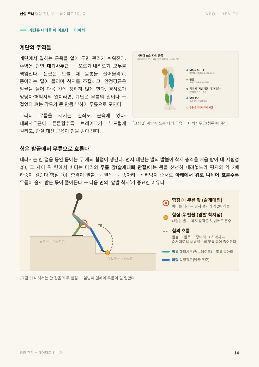 15면