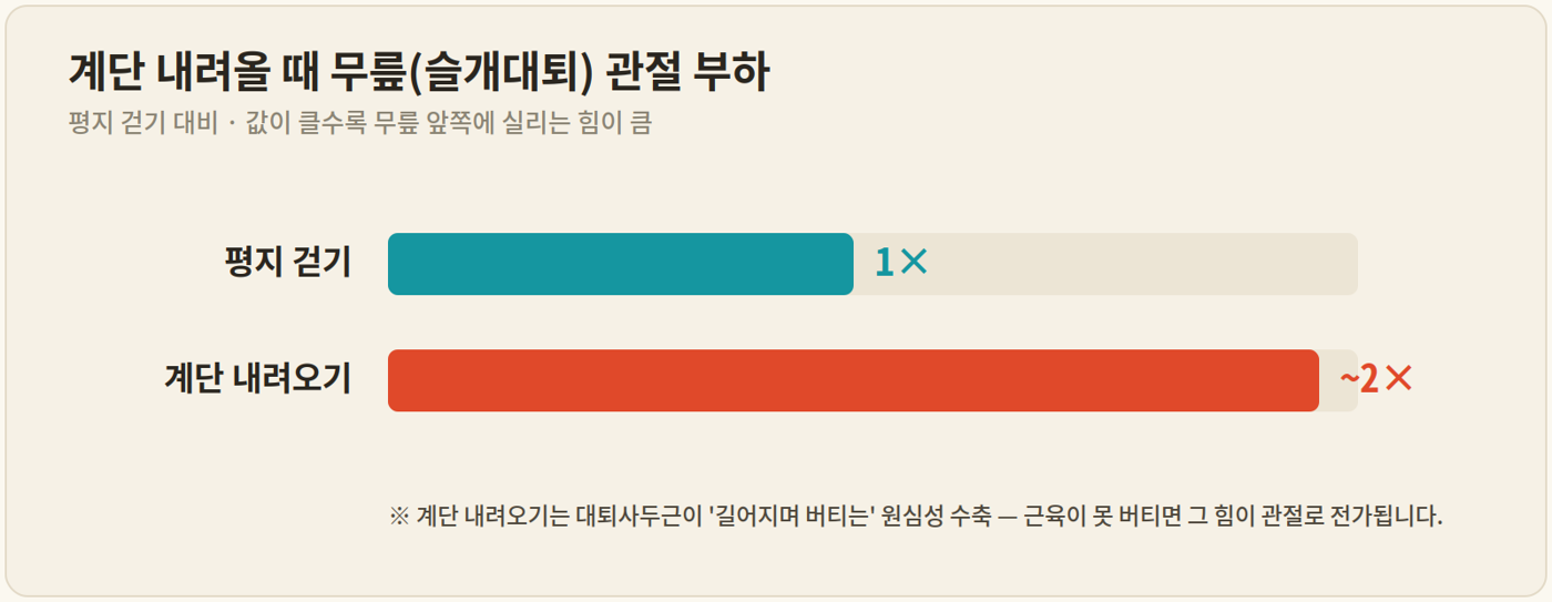 무릎 부하 비교