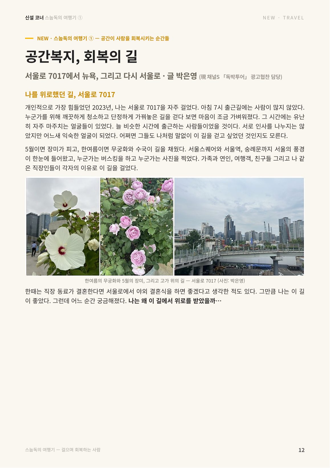 12면