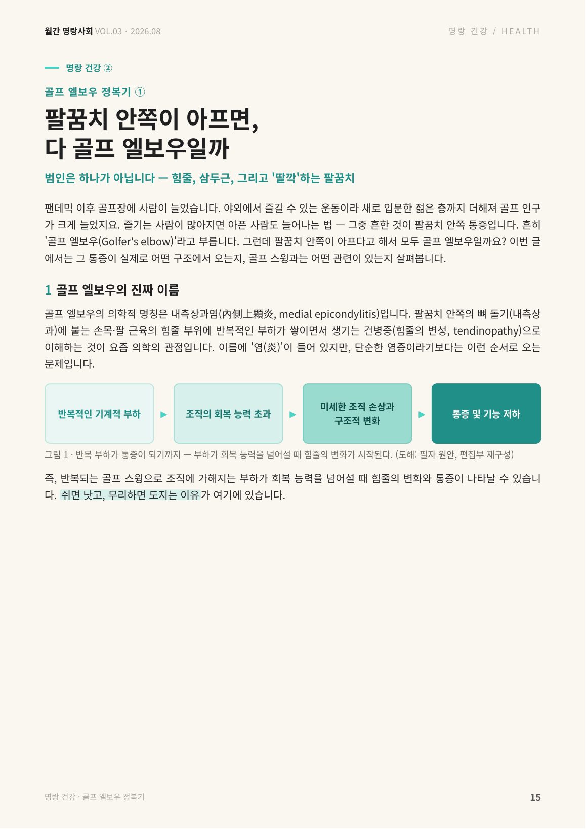 15면