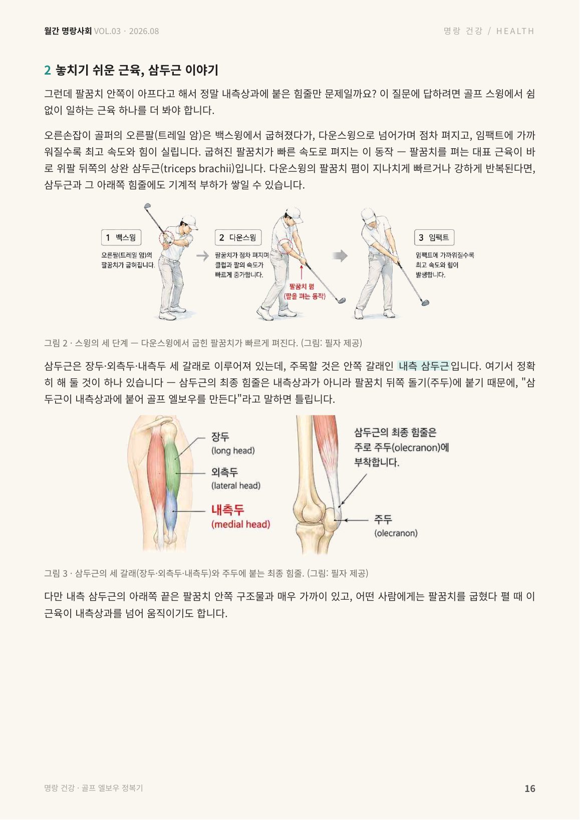 16면