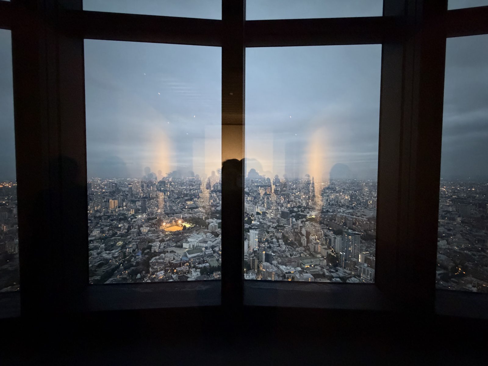 도쿄 시티 뷰