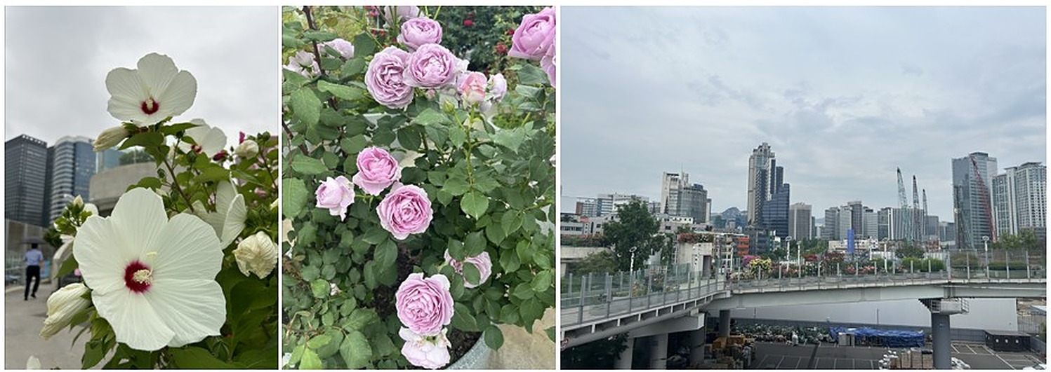 서울로 7017
