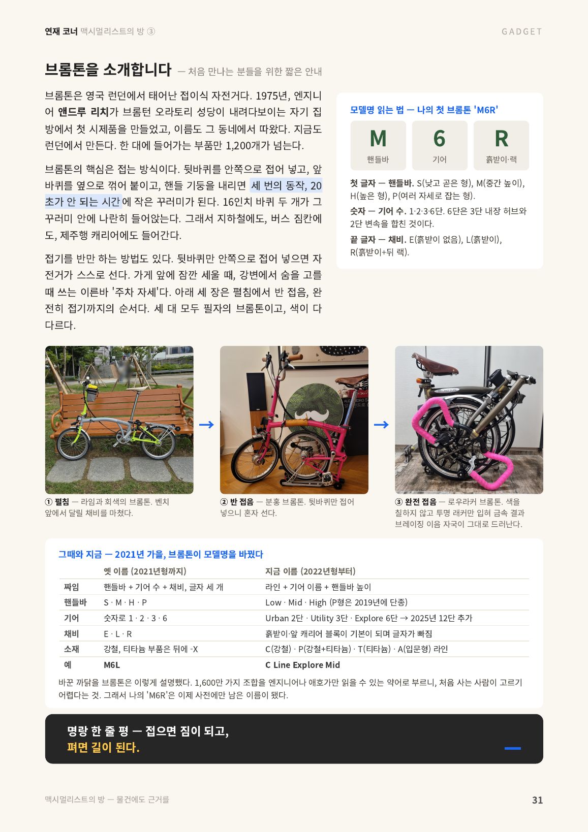 31면